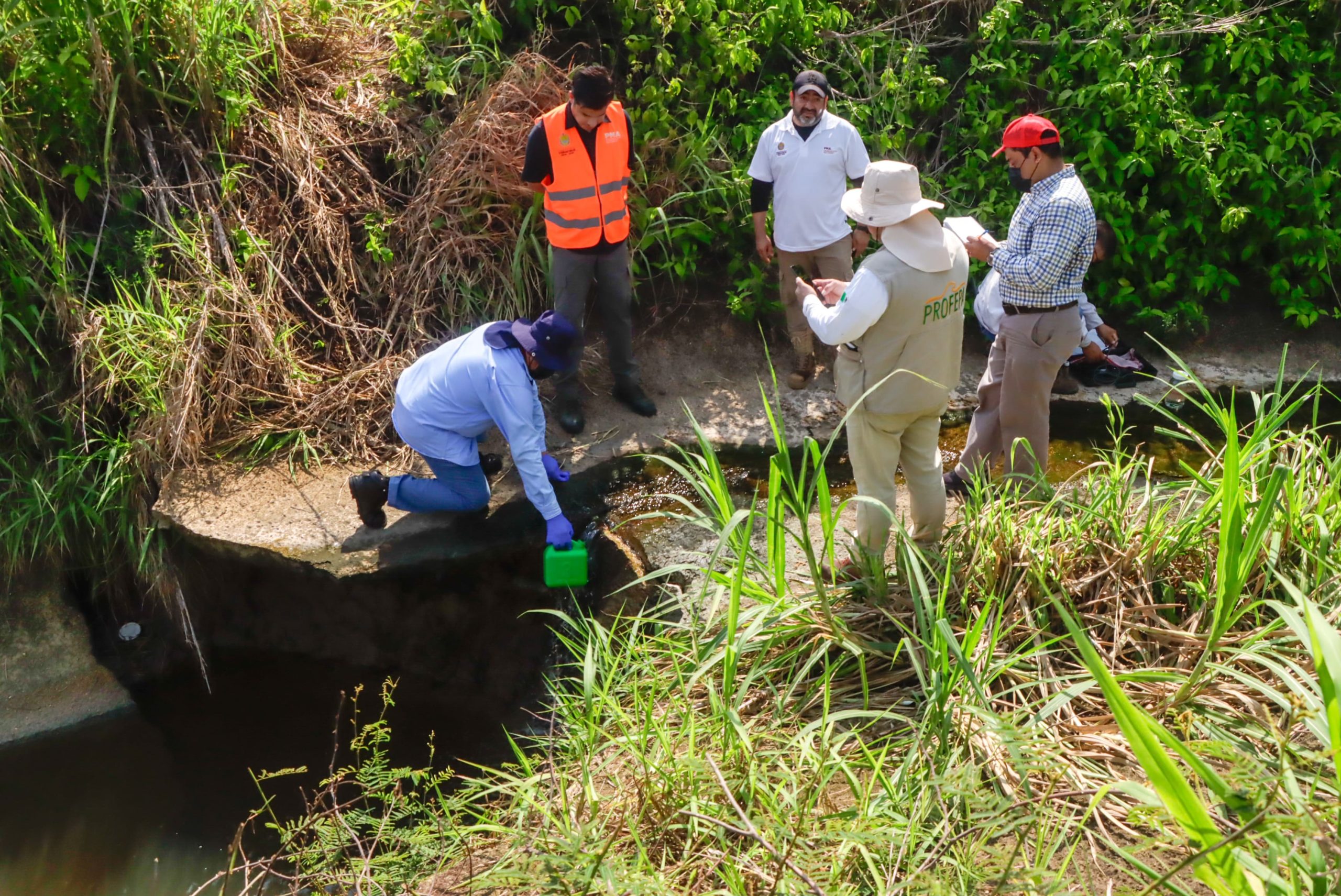 Inspecciones, monitoreo ambiental y operativos en el sur de Veracruz: PMA