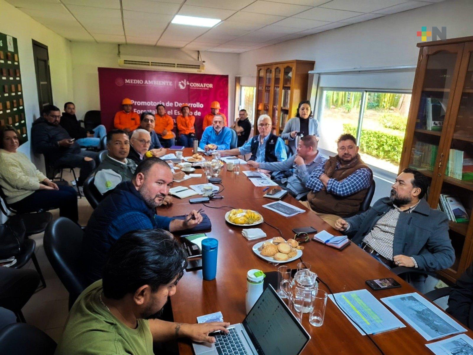 Coordinan esfuerzos Conafor, Sedema y Cesive para conservar ecosistemas forestales de Veracruz