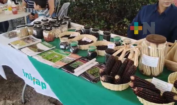 México tiene capacidad para alcanzar suficiencia y soberanía alimentaria