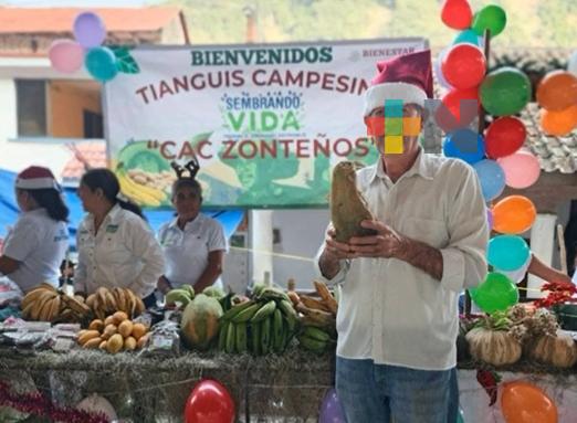 Programa Sembrando Vida, fortaleza para comunidades indígenas del norte de Veracruz