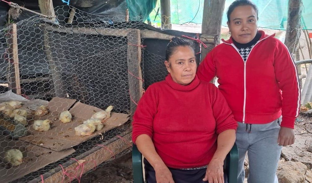 Créditos a la palabra impulsan el emprendimiento en la Huasteca veracruzana