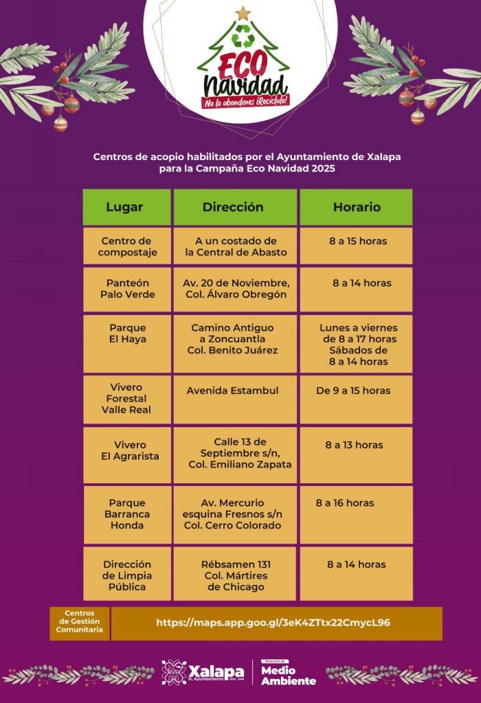 Xalapa habilita centros de acopio para reciclar árboles de Navidad