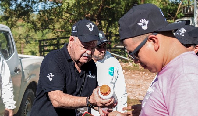 Agricultura atendió de manera inmediata caso de gusano barrenador en el Estado de México