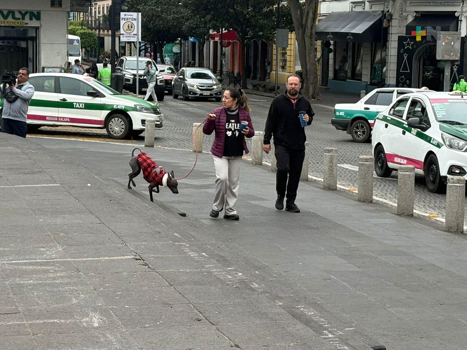 Exhortan a xalapeños abrigarse adecuadamente ante bajas temperaturas