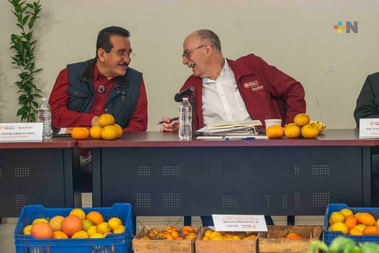 Implementa Agricultura plan para la recuperación de la citricultura de Veracruz