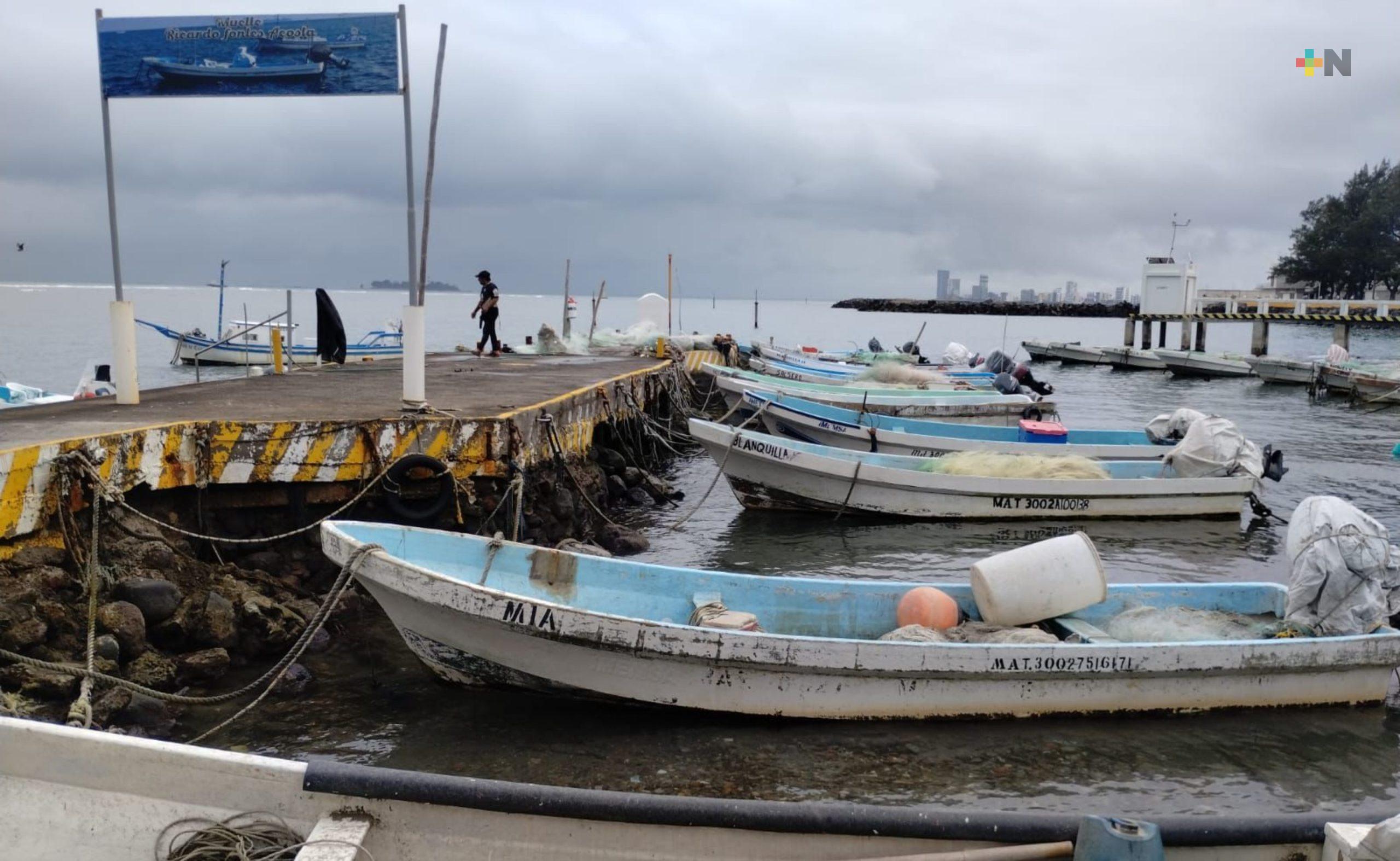 Pescadores retoman actividad en Veracruz