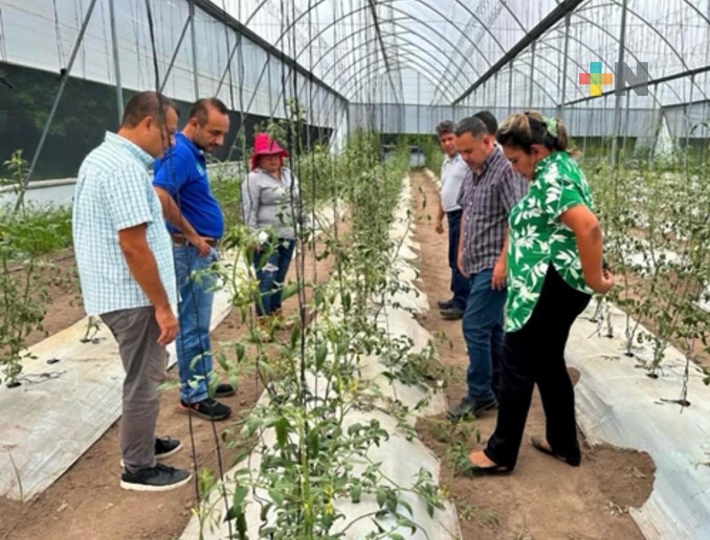 El Gobierno del Estado fortalece la calidad educativa del Instituto Tecnológico Superior de Chicontepec