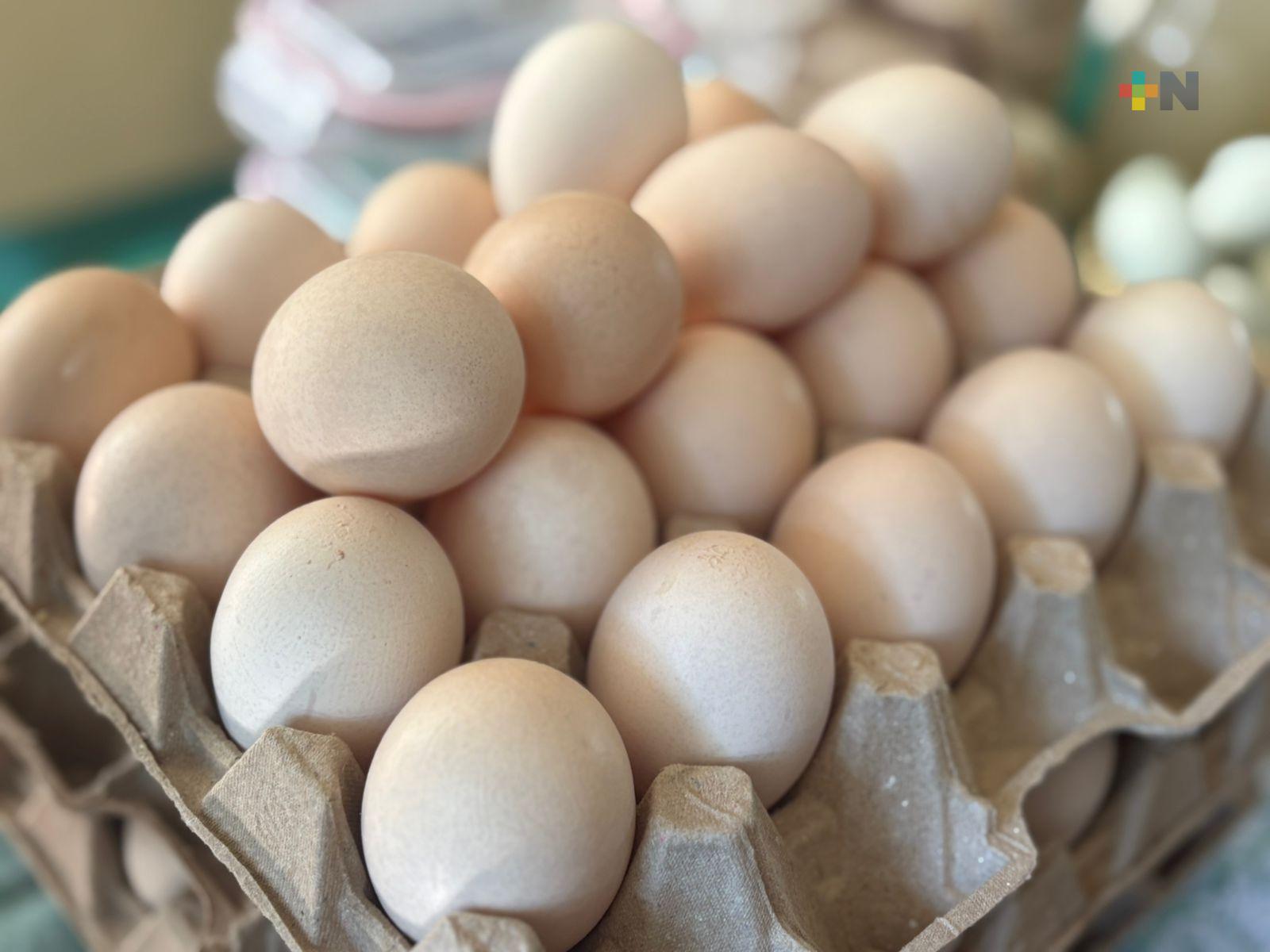 Aumenta el consumo del huevo orgánico en zonas urbanas