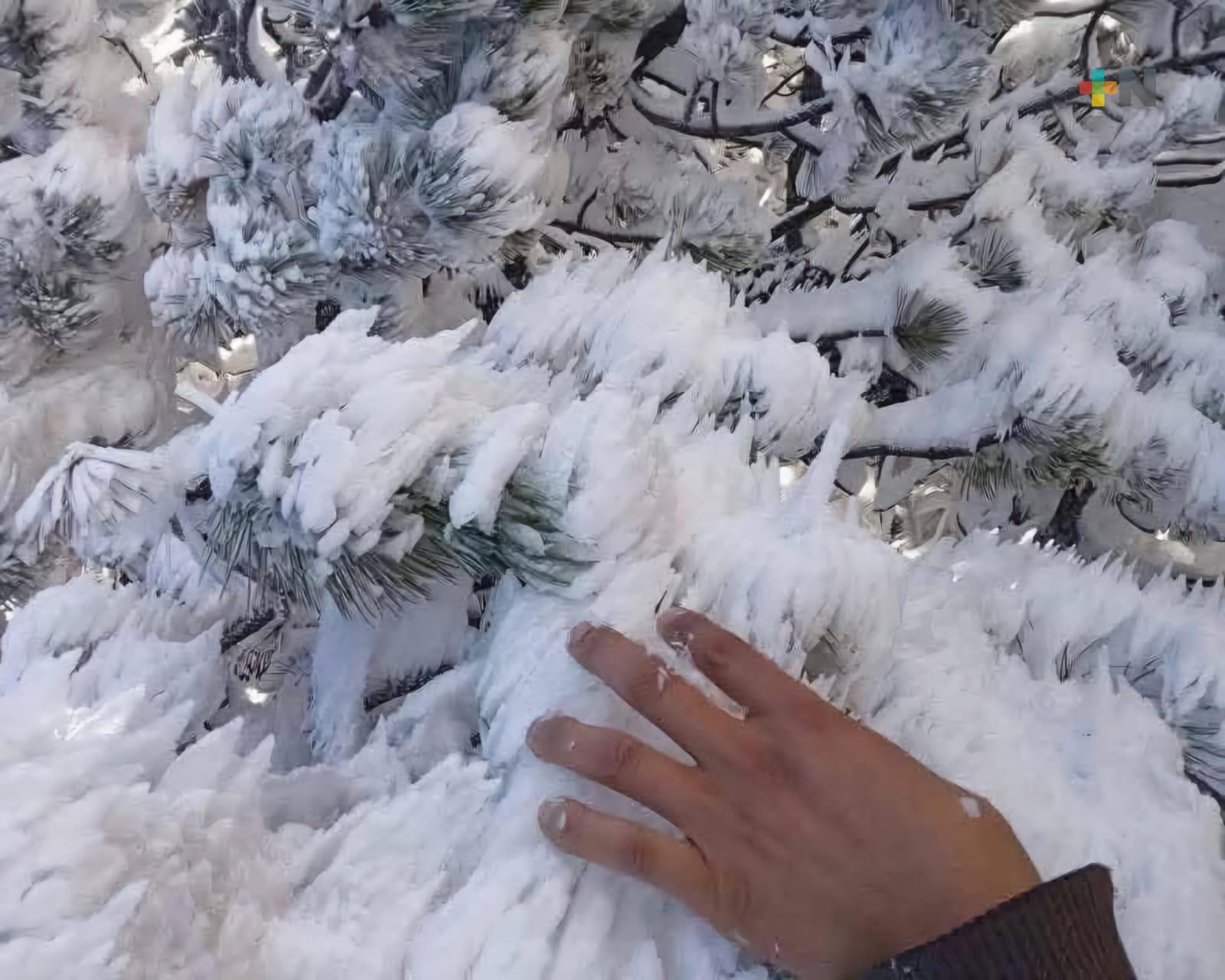 Centellada cubre la sierra de Tlacolulan y Las Vigas