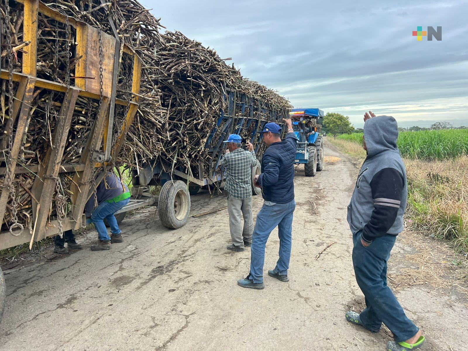 Frentes fríos ponen a prueba la zafra en la cuenca del Papaloapan