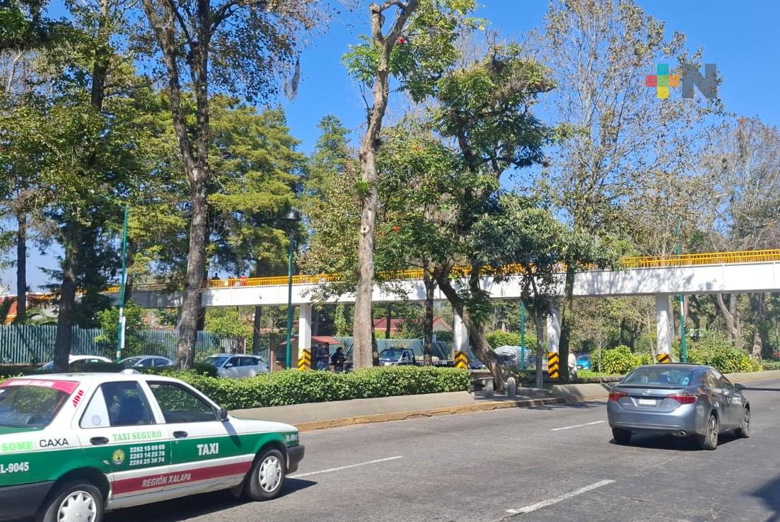Retorno de actividades labores y  escolares no afecta la vialidad en Xalapa