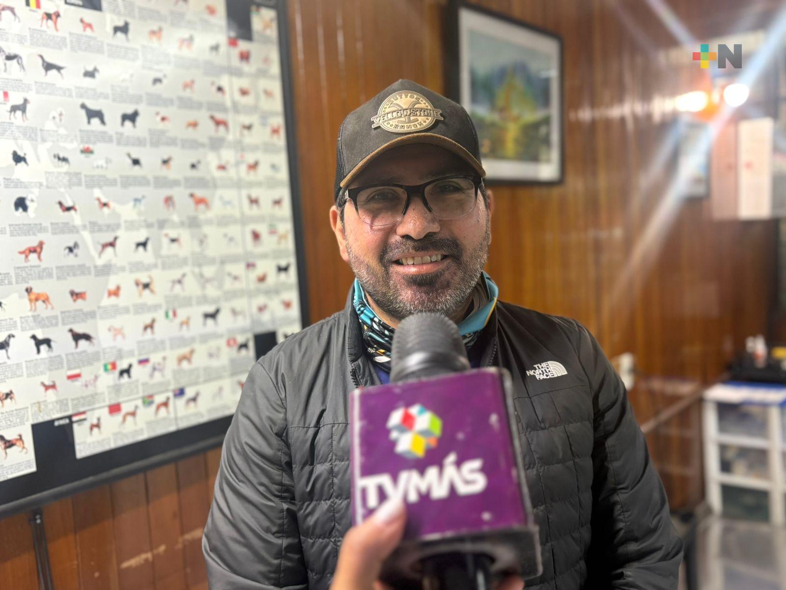 Veterinarios llaman a vacunar a gatos ante aumento de panleucopenia felina