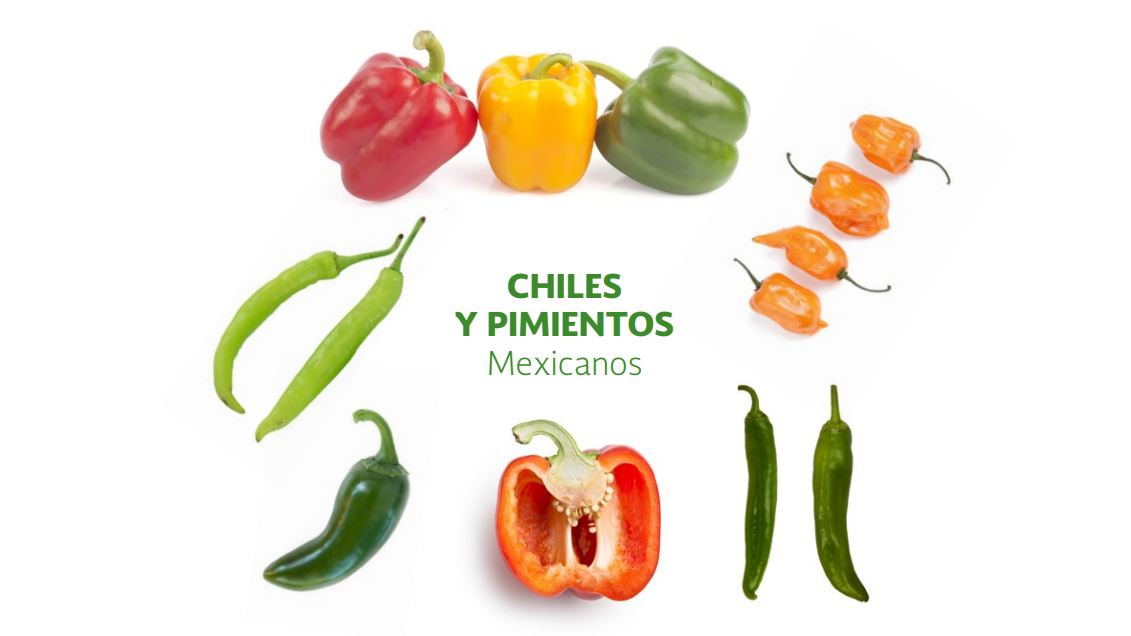 México, cuna del chile: riqueza genética que da sabor al mundo