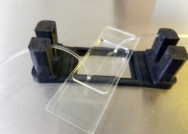 Fabrican en la UNAM chip que replica funciones del hígado humano para evaluar medicamentos