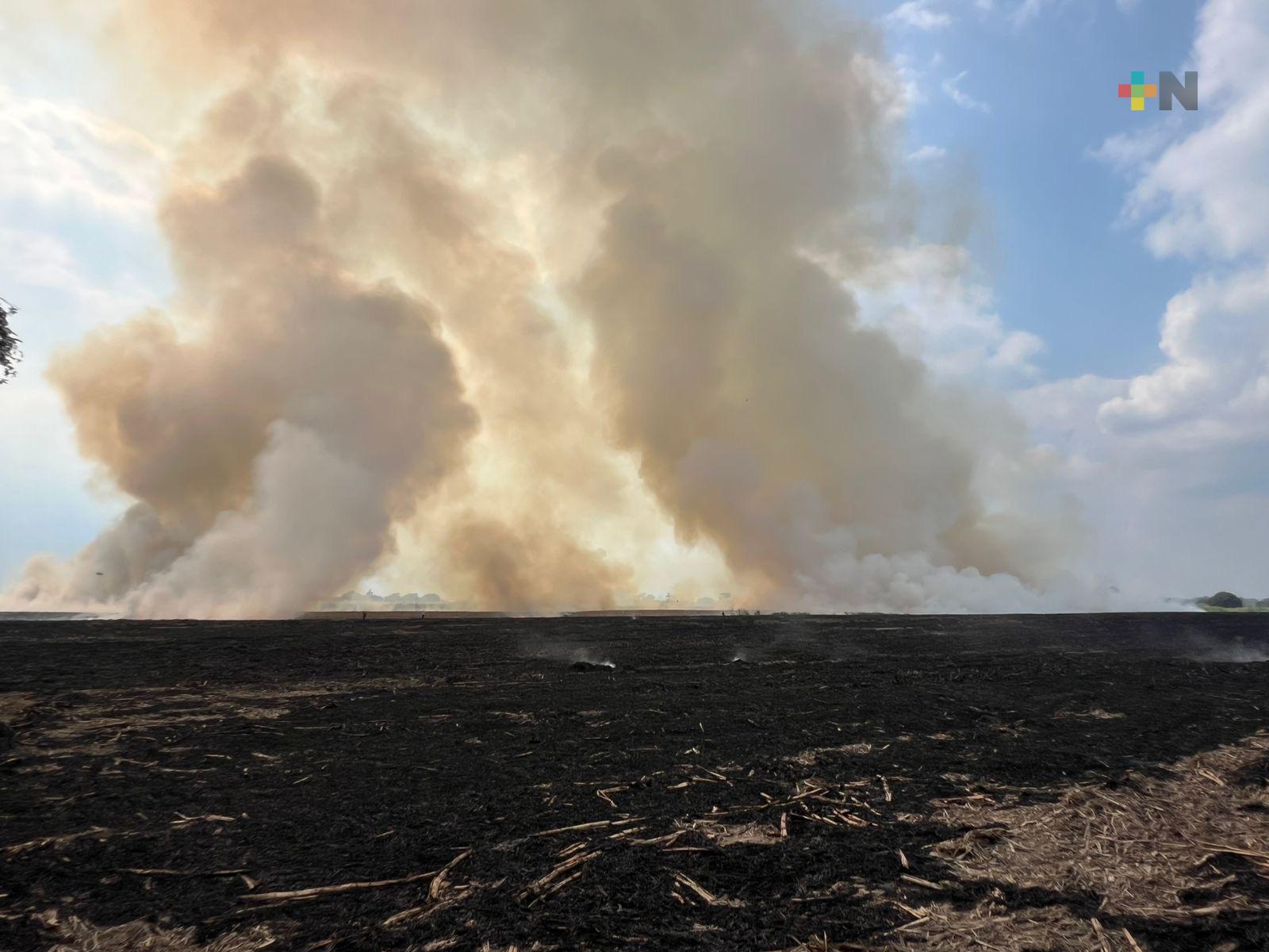 Productores de caña enfrentan el reto del manejo de rastrojo tras la mecanización