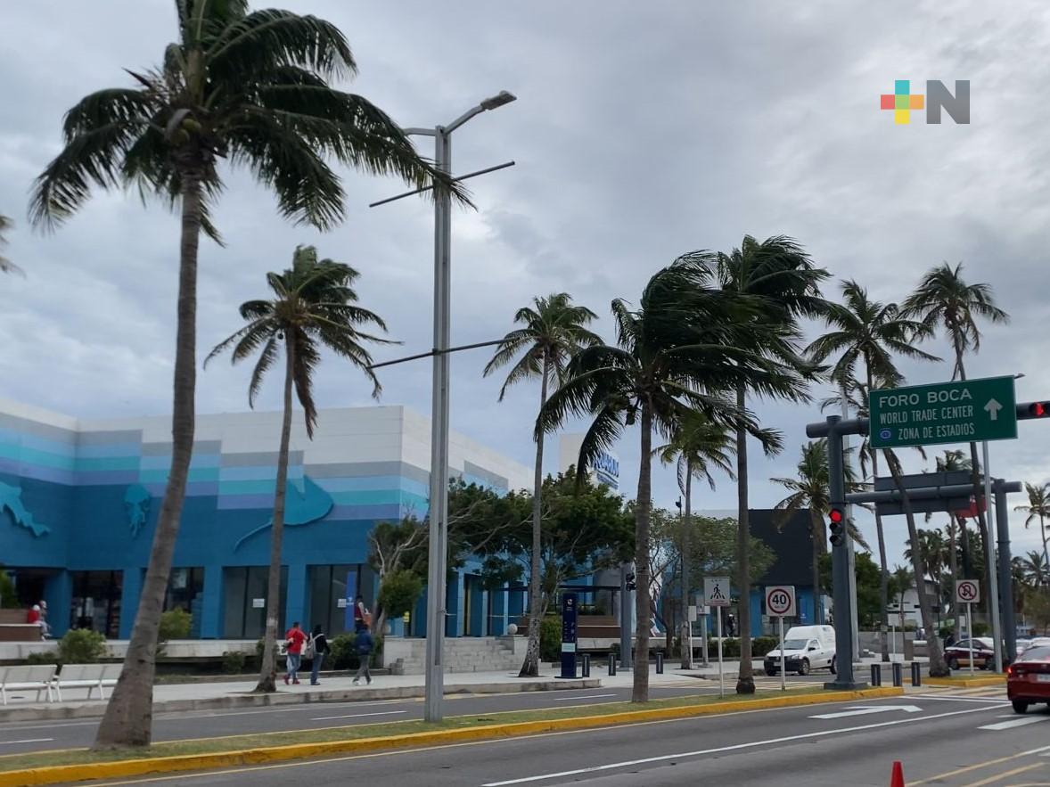 Frente frío 33 generará norte fuerte y bajas temperaturas en Veracruz: PC