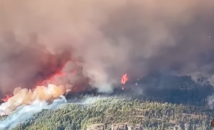 Chile enviará aviones para combatir los incendios forestales en Patagonia