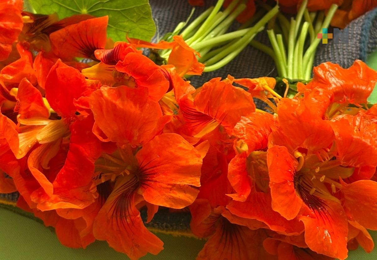 Productores incursionan en la siembra de flores comestibles