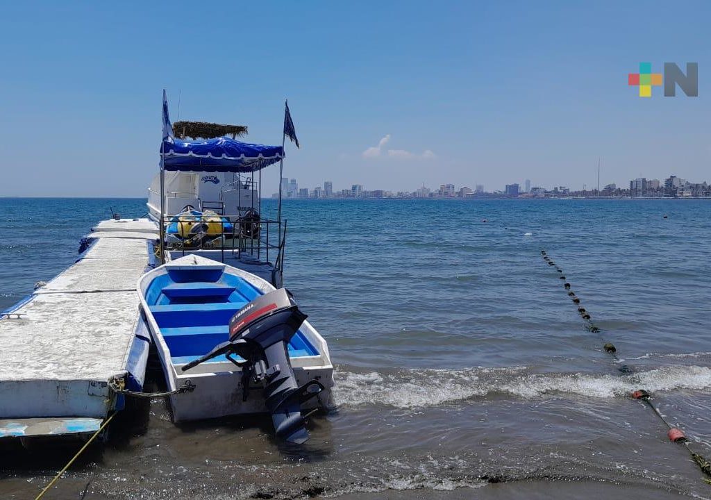 Actividad pesquera en puerto de Veracruz registró una baja por frentes fríos