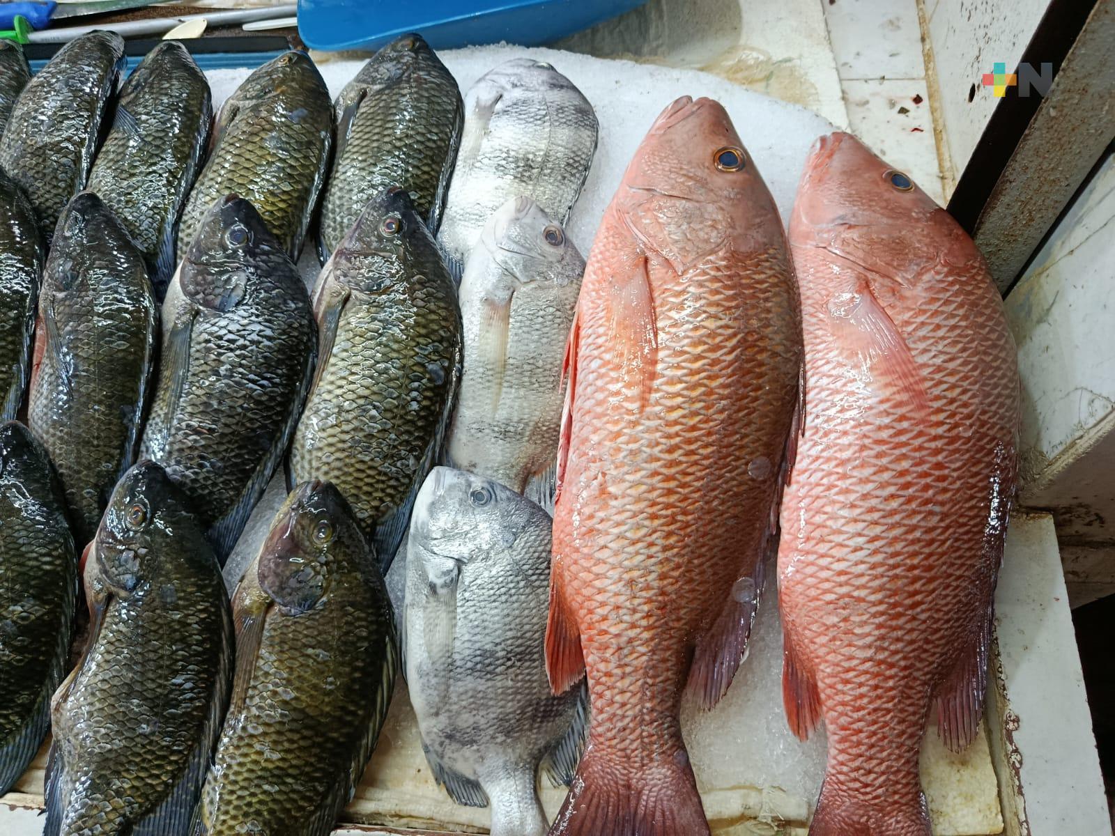 A partir de mayo iniciará la veda para especies marinas en Veracruz