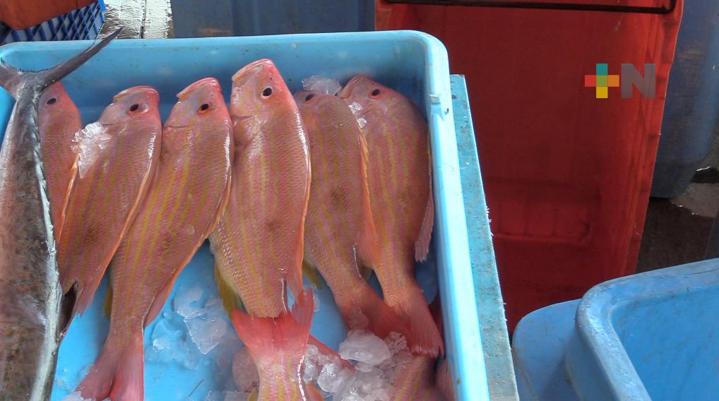 En temporada invernal, baja pesca en el municipio de Veracruz