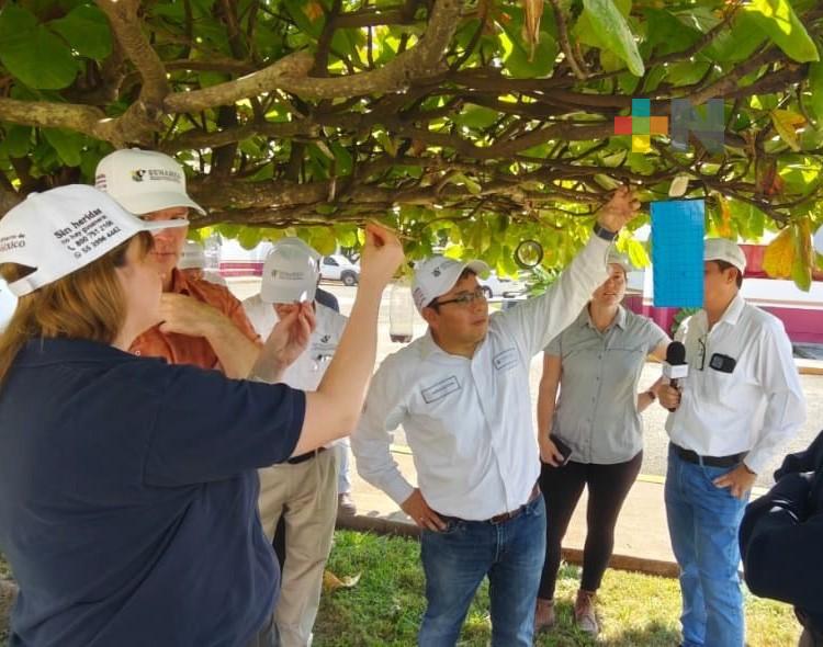 México y EUA fortalecen cooperación para erradicar gusano barrenador del ganado