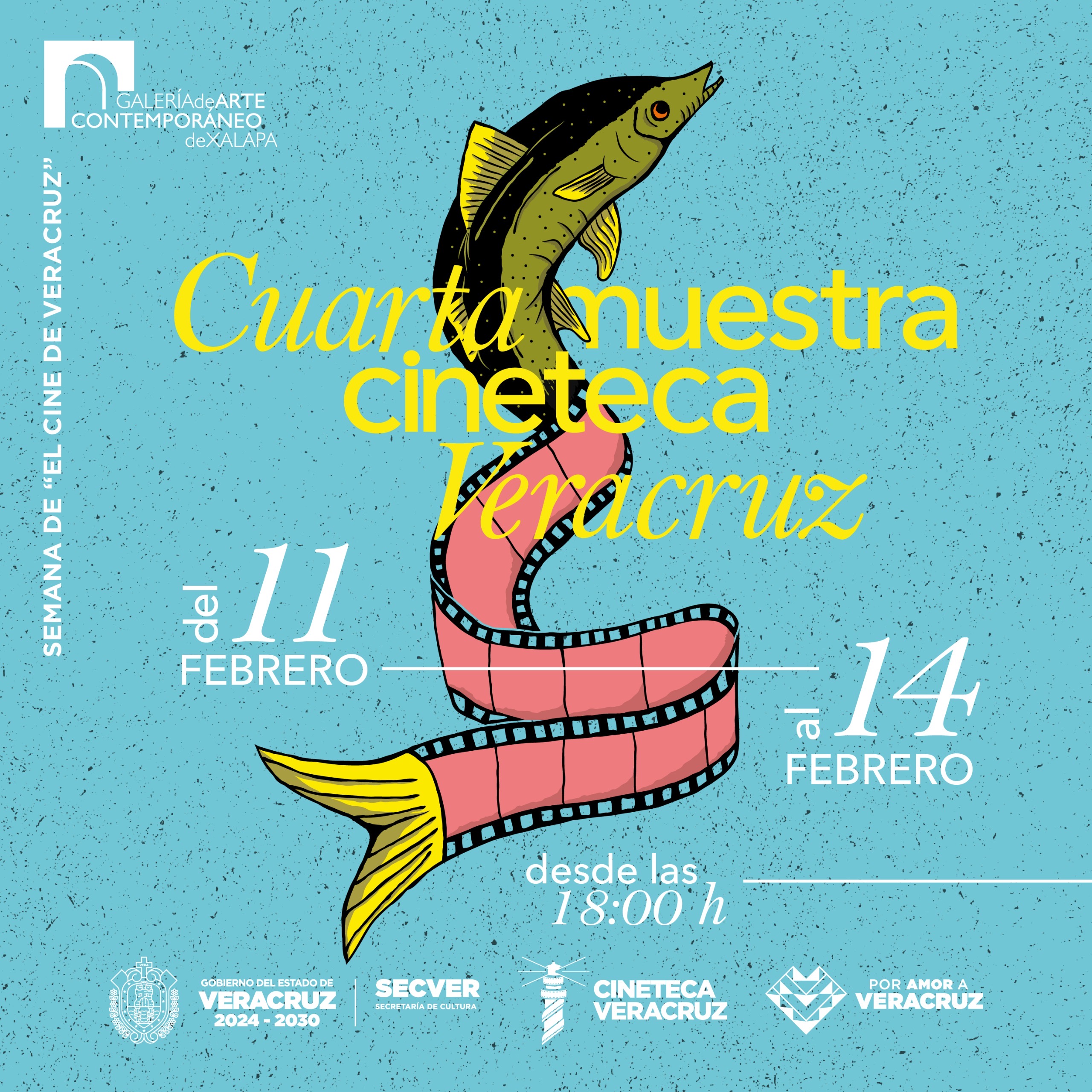 Semana del Cine de Veracruz en la Galería de Arte Contemporáneo de Xalapa