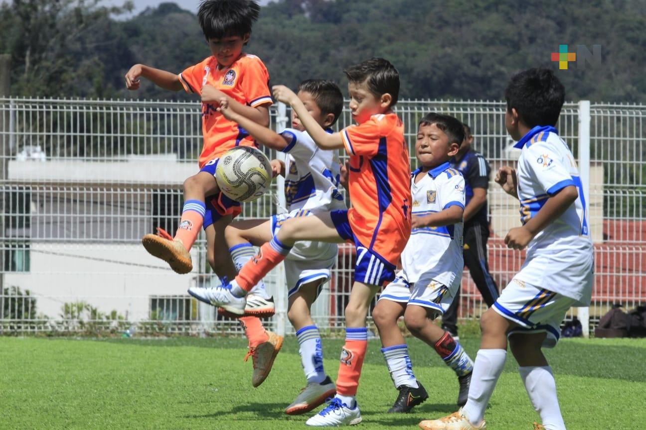 Satisfecho Club Delfines de Xalapa con resultados en apertura 2026