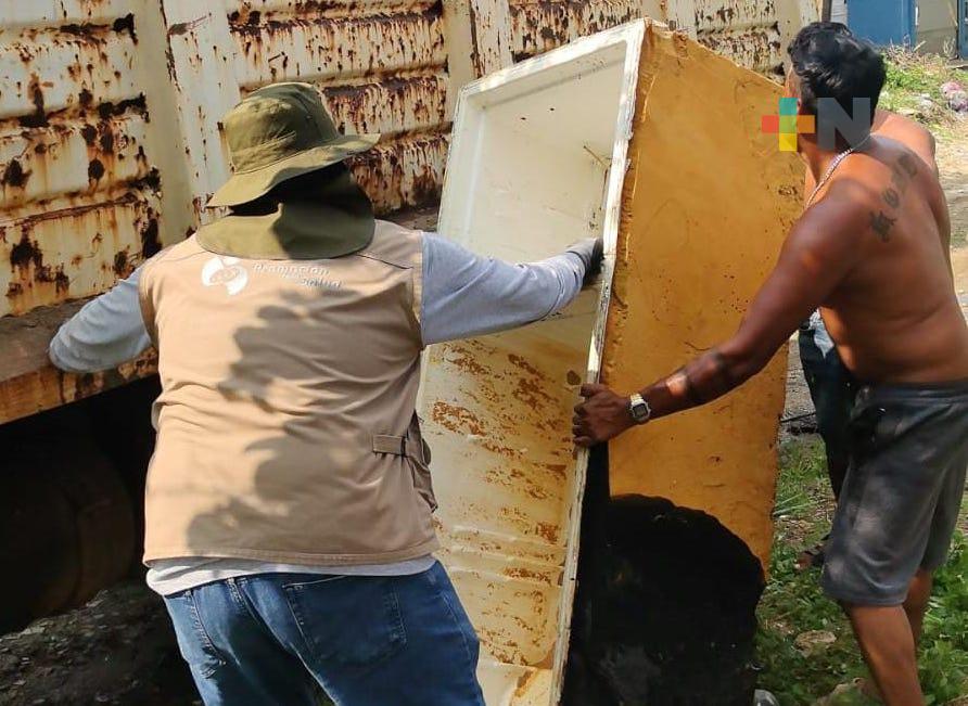 Mediante jornadas fortalecen prevención y control del dengue