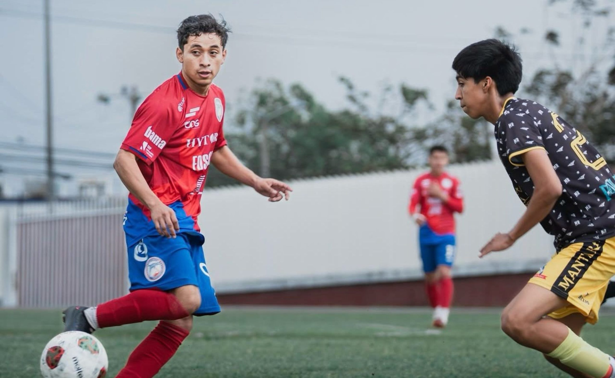 Delfines golean y se afianzan en la parte alta del grupo
