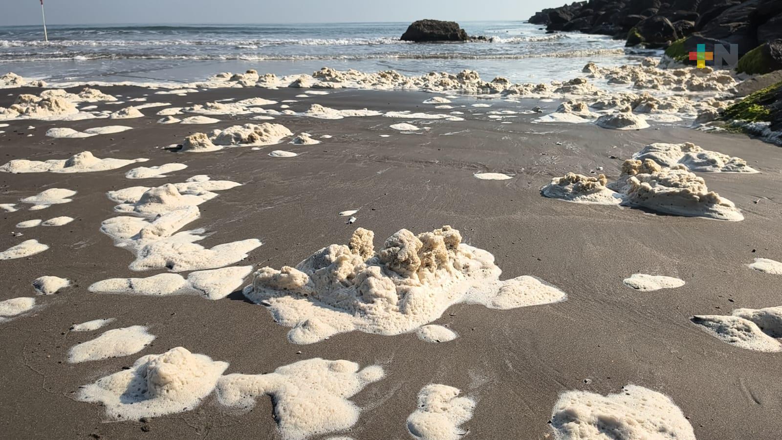Espuma en playa de Boca del Río, no tiene que ver con contaminación