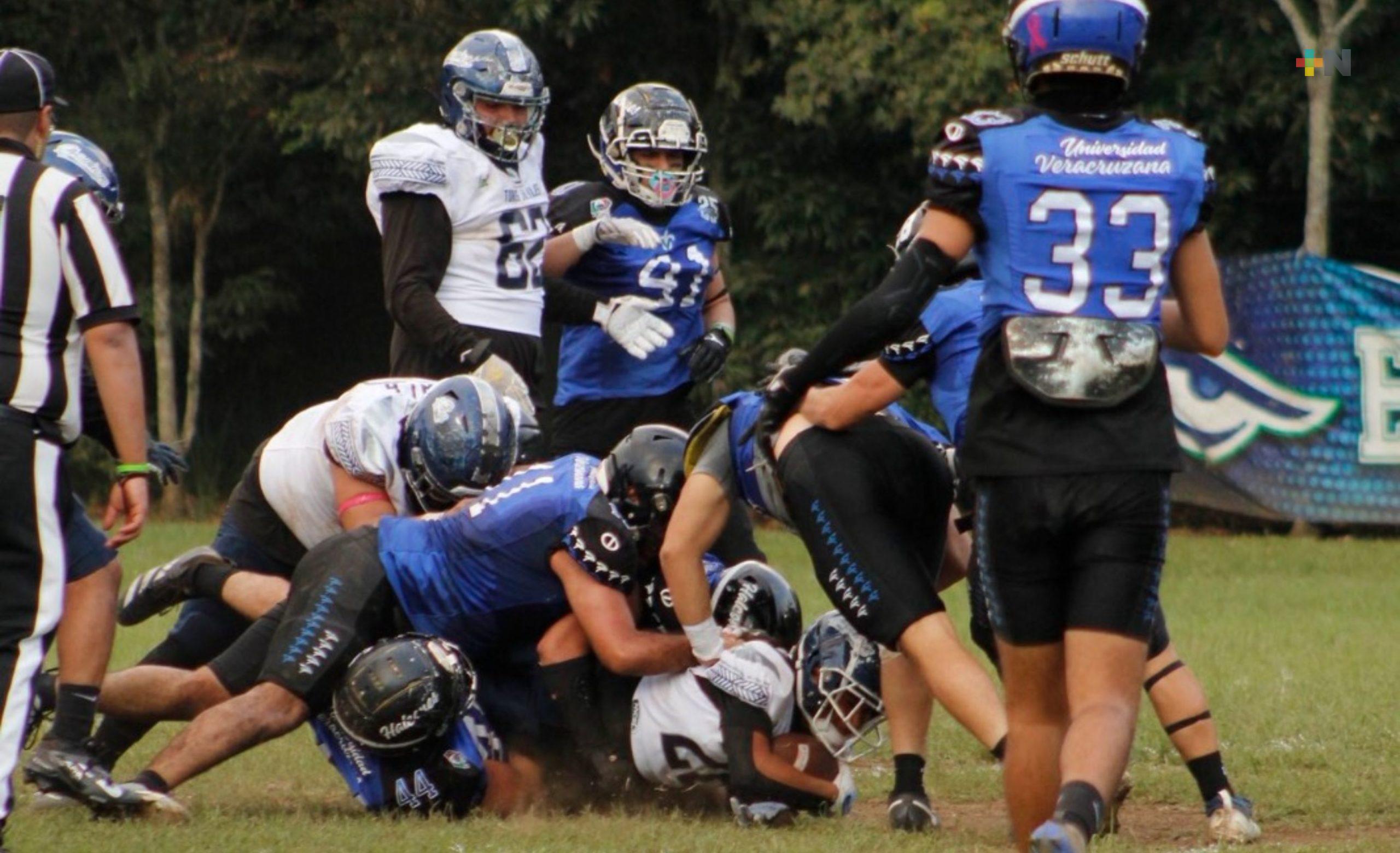 Listo calendario para Halcones UV en categoría mayor de ONEFA