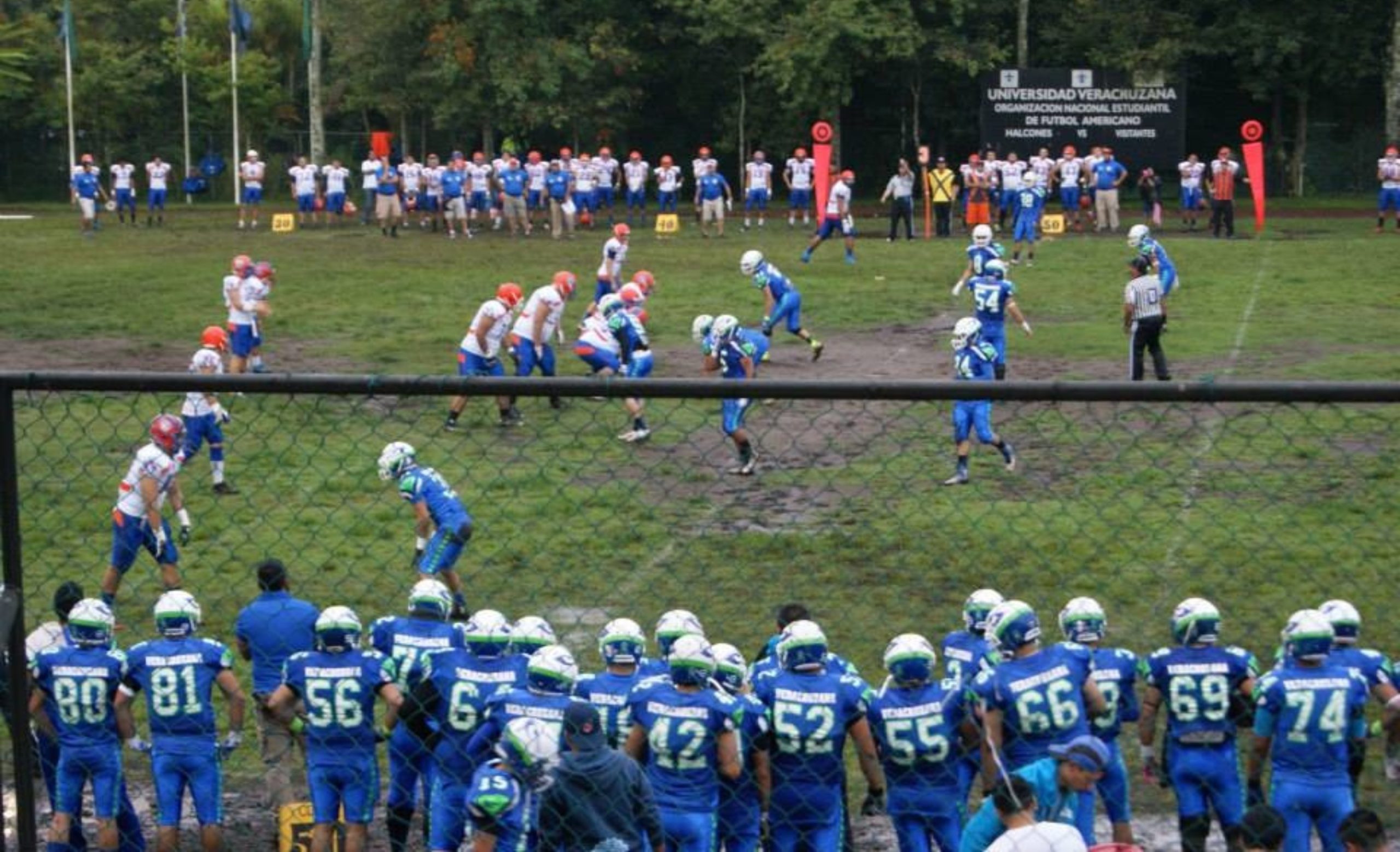 Participará Halcones UV en congreso de la ONEFA