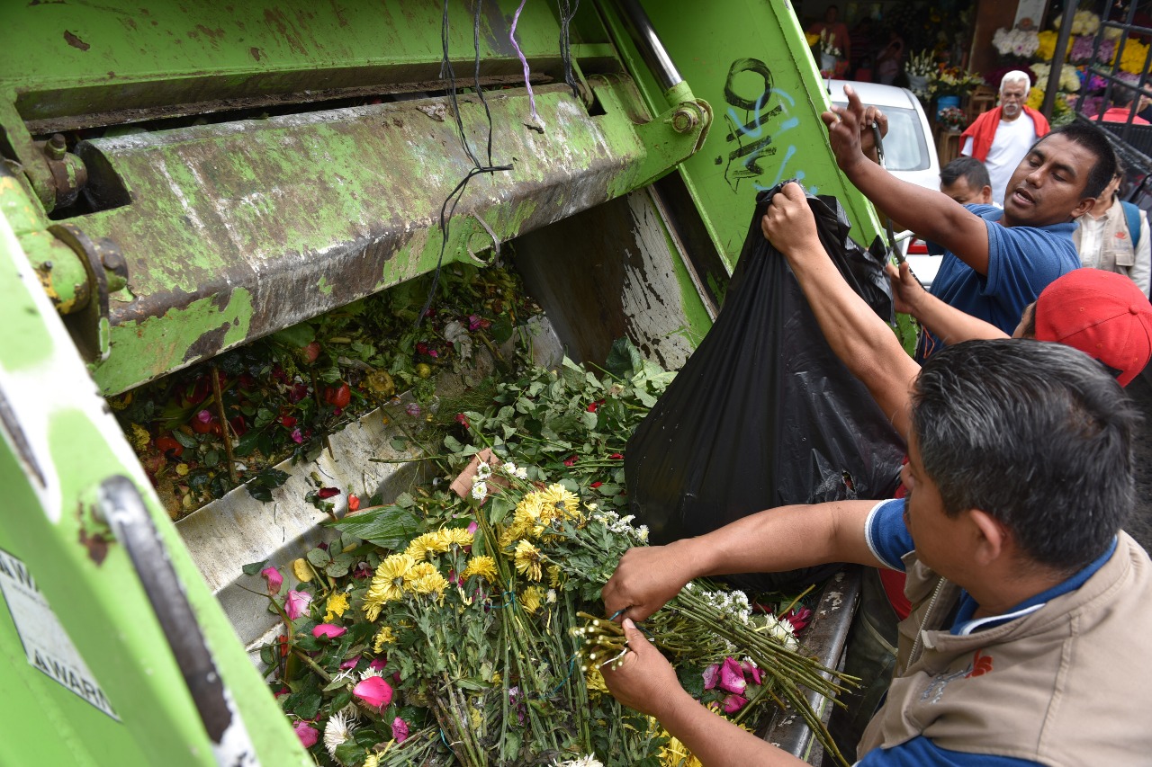 Regresa la recolección verde en Xalapa