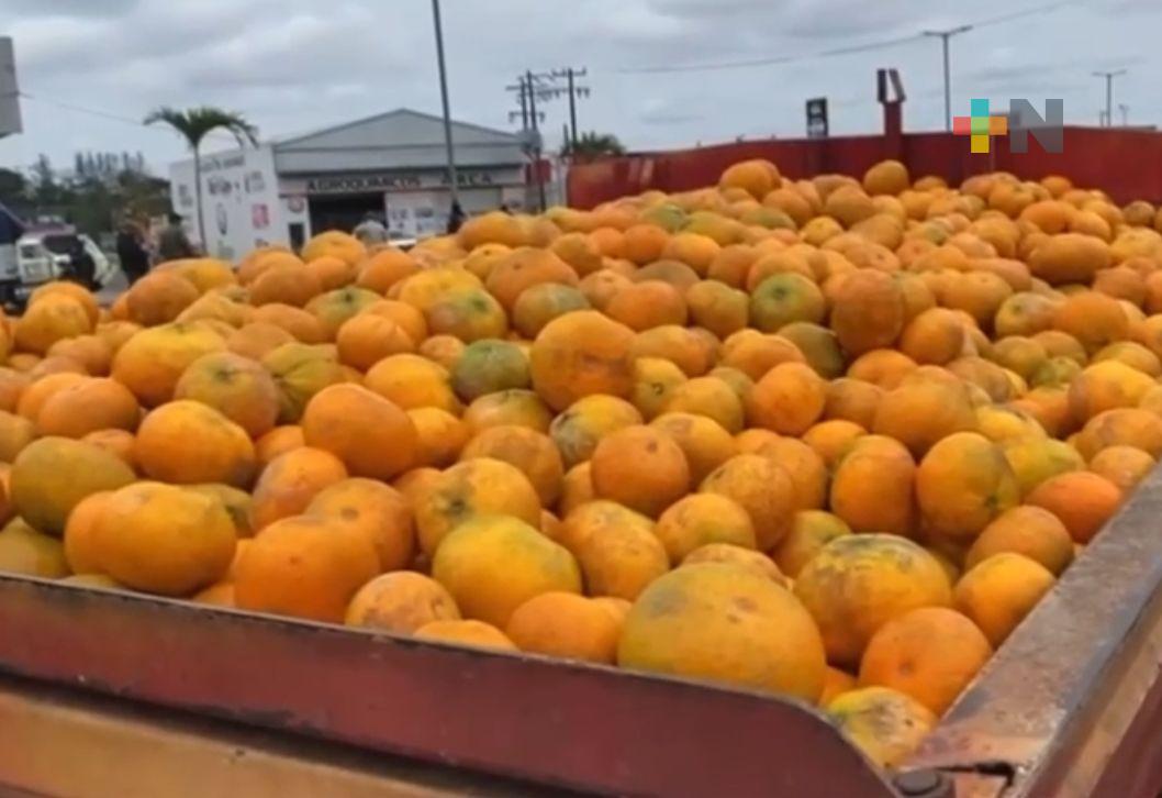 Precios de cítricos ha beneficiado la economía de la región centro norte