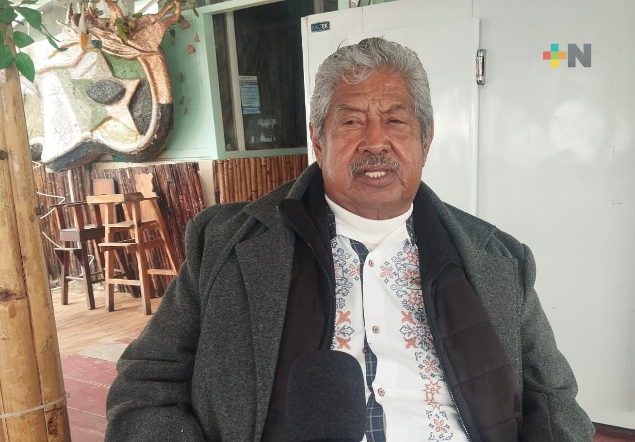 Palaperos esperan incrementar ventas durante Carnaval de Veracruz