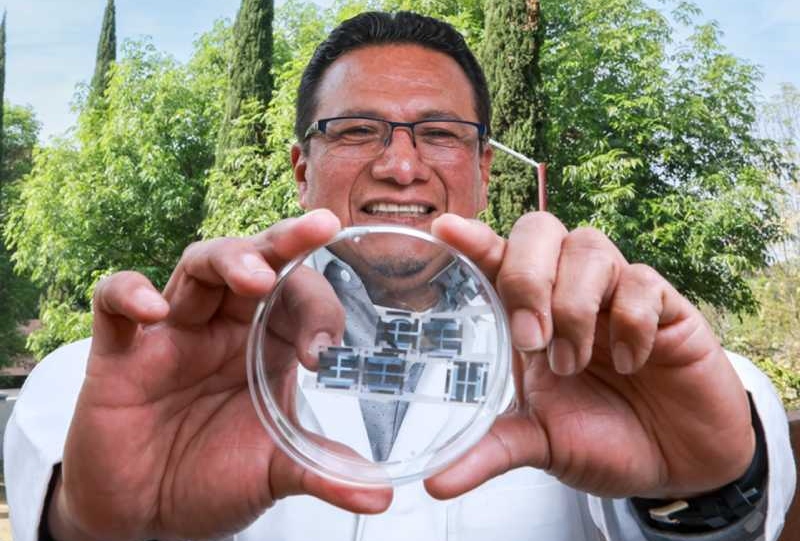 Trabaja IPN con universidad española para crear celdas solares orgánicas