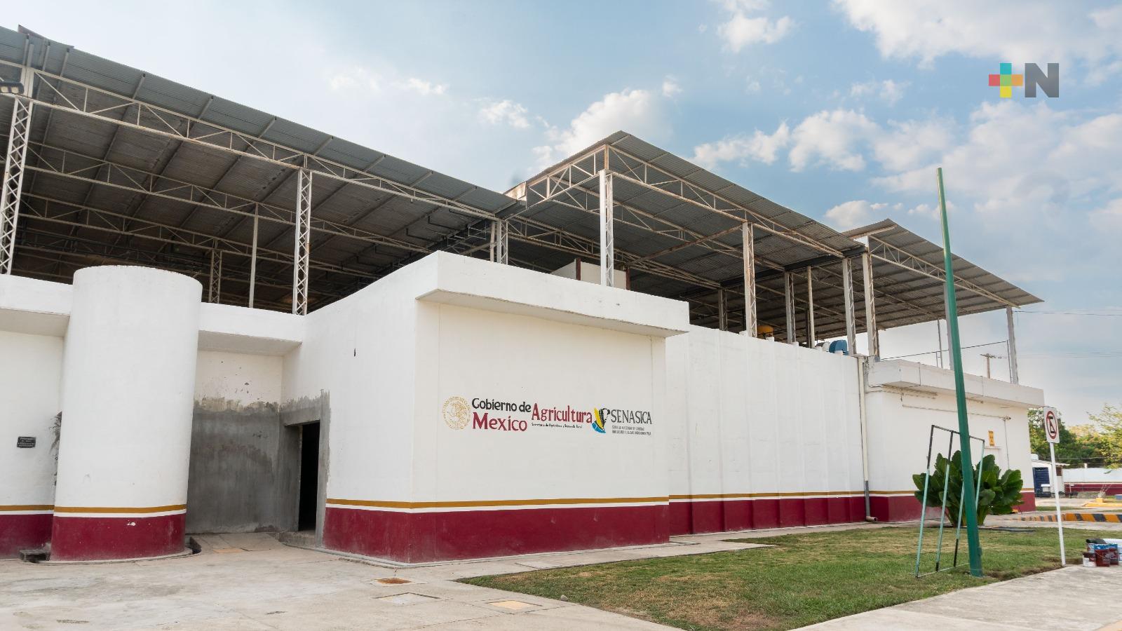 Supervisan avances en planta de moscas estériles para combatir el gusano barrenador, en Chiapas