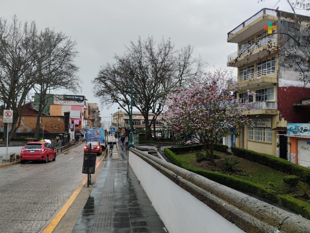 Aumentan condiciones para lluvias aisladas en el estado de Veracruz; probabilidad de heladas en zonas altas