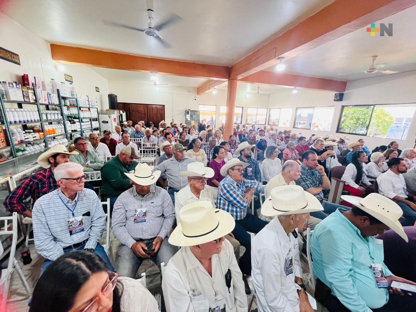 A pesar de las adversidades, ganadería de San Rafael y Veracruz resurge