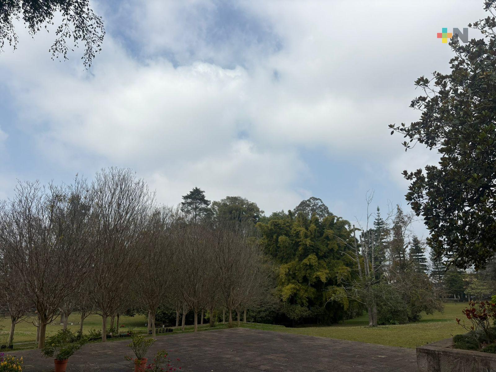 Plantarán 100 árboles en el MAX con apoyo del Inecol