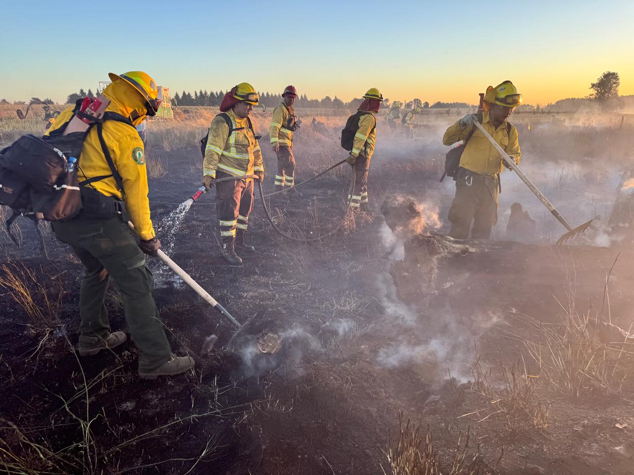 Brigadas mexicanas avanzan en el combate y liquidación de incendios forestales en Chile