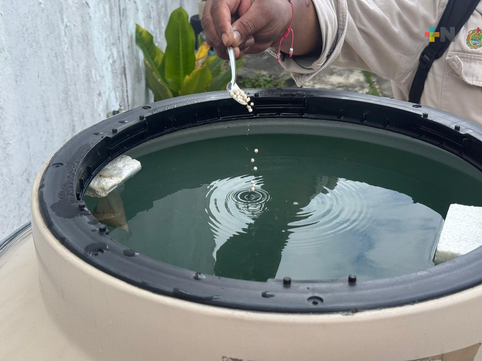 Colaboración entre población y autoridades sanitarias, clave para combatir el dengue