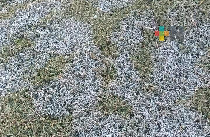 Xalapa registró temperatura de 1.7 grados este domingo