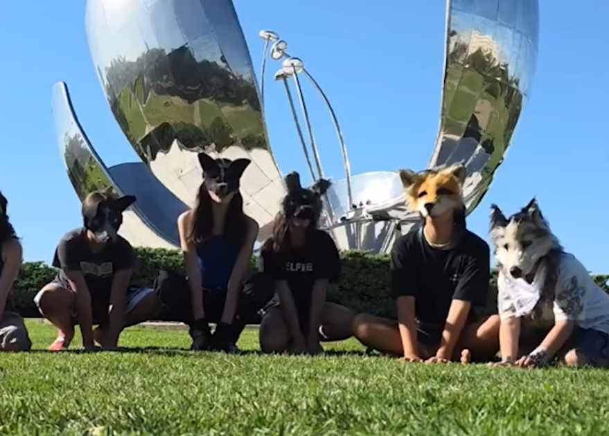 Difunden primeras convocatorias de reuniones therian en Veracruz