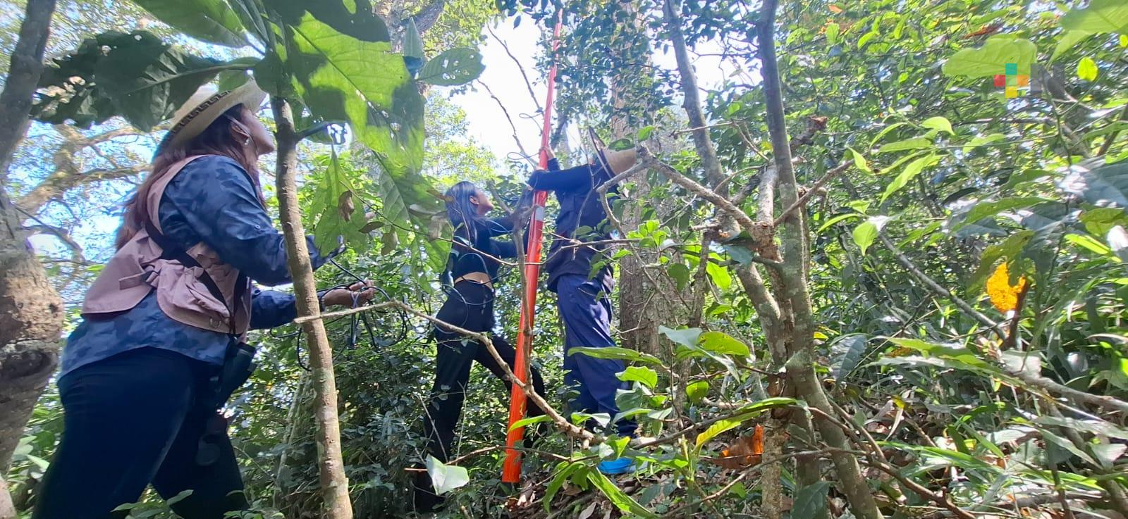 Instalan Cajas Nido en el Cerro de la Galaxia