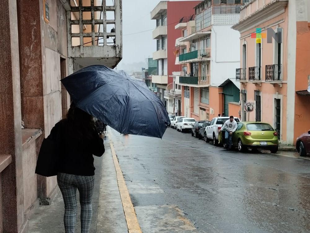 Lluvias y neblinas en el estado de Veracruz