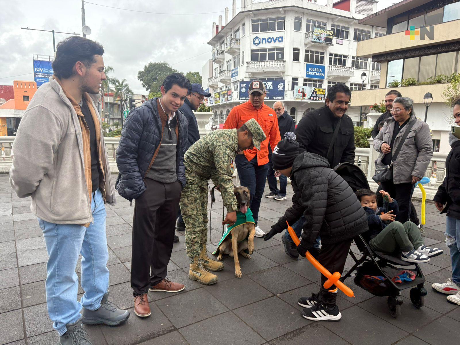 Celebra el mes del Ejército y la Fuerza Área en el parque Juárez