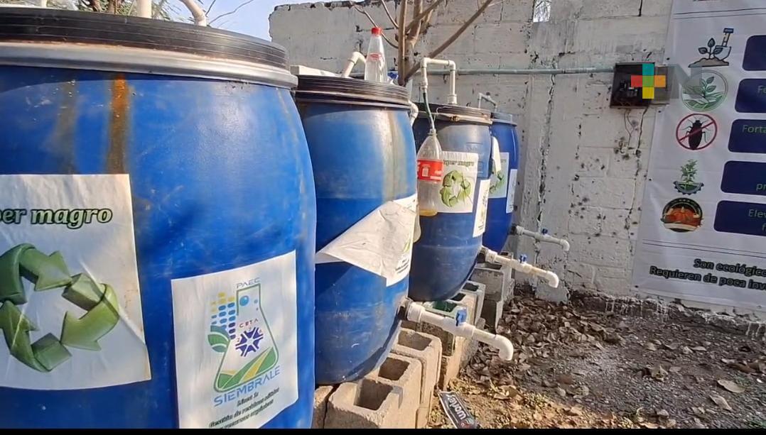 A nivel internacional premian a CBTA 276 por proyecto de biofertilizante