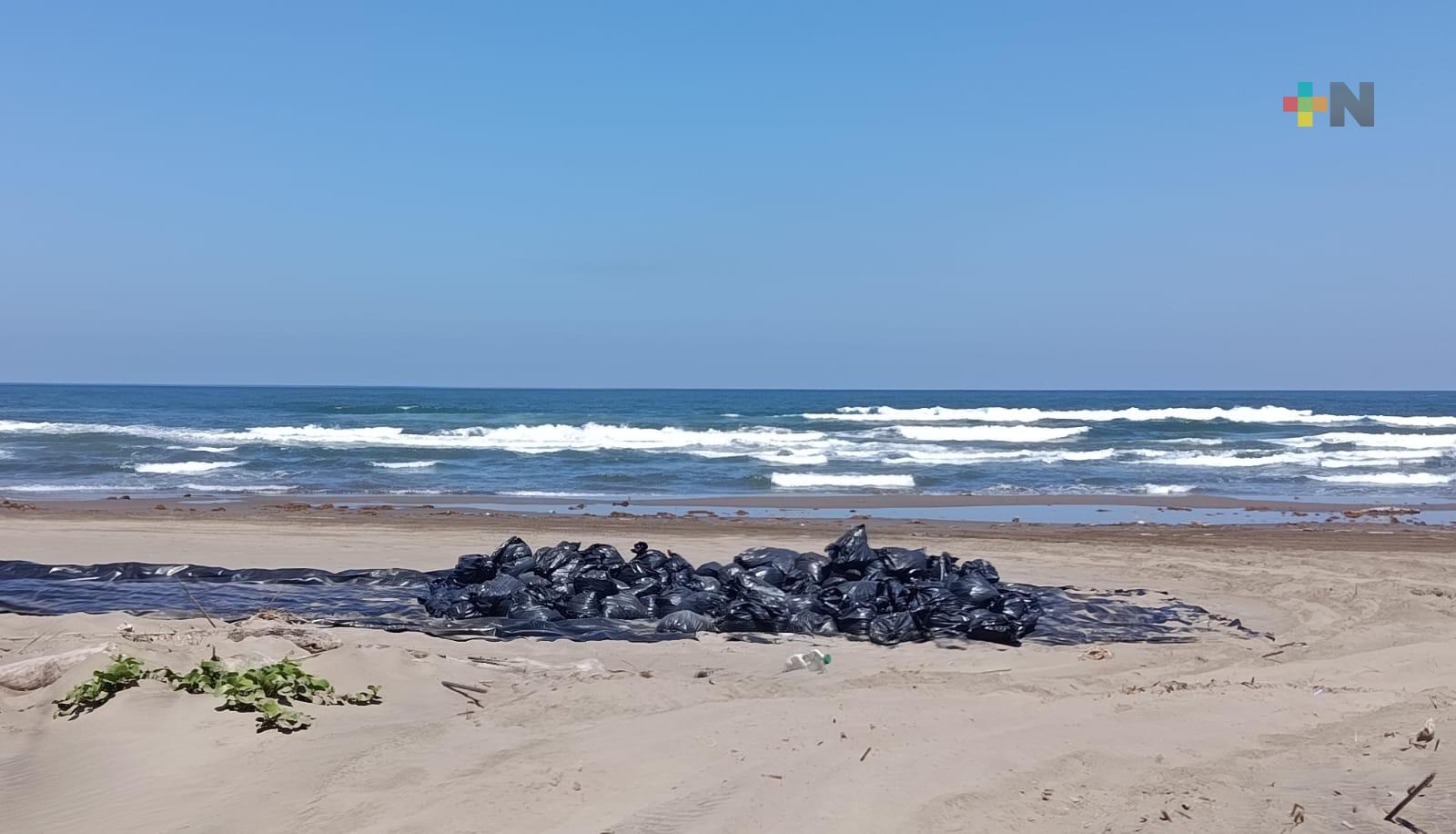 Pemex participa en saneamiento de playas tras presencia de hidrocarburo